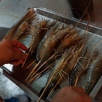 2012.07.15-029.JPG