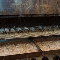 2012.07.15-036.JPG