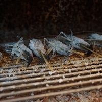2012.07.15-037.JPG