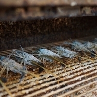 2012.07.15-038.JPG