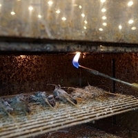 2012.07.15-041.JPG