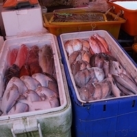2012.10.21-Wanli-008.JPG