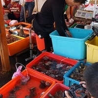 2012.10.21-Wanli-012.JPG