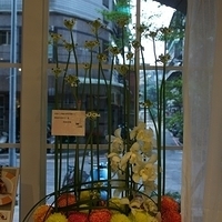 2012.01.02-mdm-040.JPG