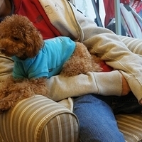 2012.01.02-mdm-066.JPG