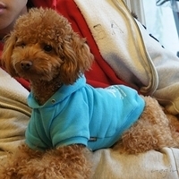 2012.01.02-mdm-067.JPG