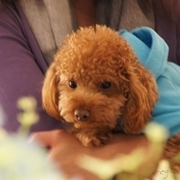 2012.01.02-mdm-091.JPG