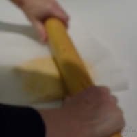 2012.02.18-mdm-040.JPG