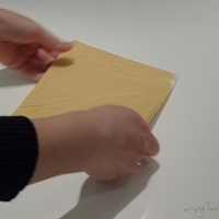 2012.02.18-mdm-053.JPG