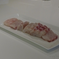 2012.02.18-mdm-061.JPG