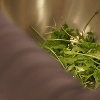 2012.04.25-mdm-094.JPG