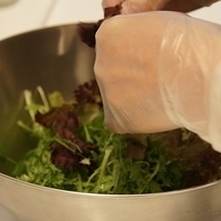 2012.04.25-mdm-096.JPG