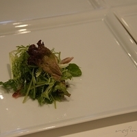 2012.04.25-mdm-103.JPG