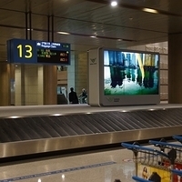 2013.04.01-005.JPG