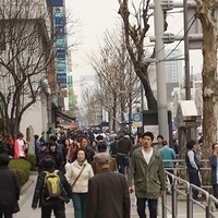 2013.04.01-122.JPG