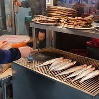 2013.04.01-170.JPG