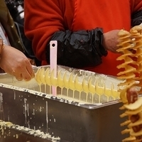 2013.04.01-196.JPG