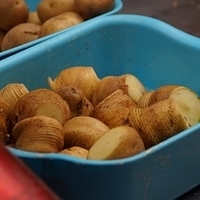 2013.04.01-201.JPG