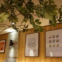 2013.04.01-253.JPG