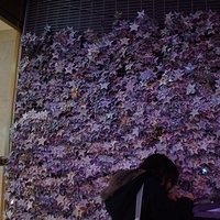 2013.04.01-276.JPG