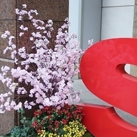 2013.04.01-283.JPG