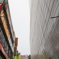 2013.04.01-293.JPG