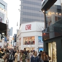 2013.04.01-294.JPG