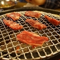 2013.04.01-327.JPG
