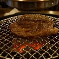 2013.04.01-335.JPG