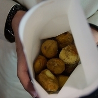 2013.04.01-362.JPG