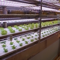 2013.04.02-065.JPG