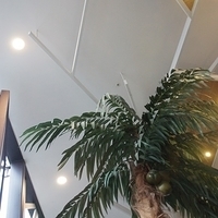 2013.04.02-199.JPG