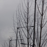 2013.04.02-206.JPG