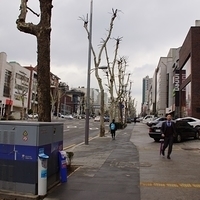 2013.04.02-229.JPG