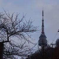 2013.04.02-250.JPG