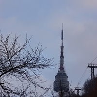 2013.04.02-251.JPG