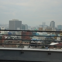 2013.04.02-259.JPG