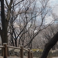 2013.04.02-277.JPG