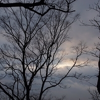 2013.04.02-278.JPG