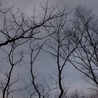 2013.04.02-279.JPG