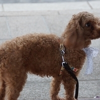 2013.04.02-295.JPG