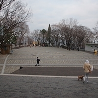 2013.04.02-297.JPG