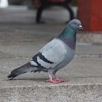 2013.04.02-315.JPG