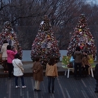 2013.04.02-392.JPG