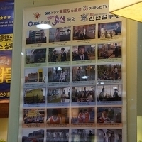 2013.04.03-025.JPG