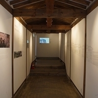 2013.04.03-073.JPG