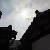 2013.04.03-088.JPG