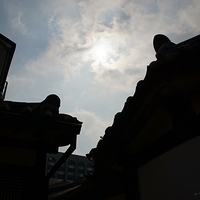 2013.04.03-089.JPG