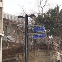 2013.04.03-099.JPG