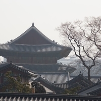 2013.04.03-114.JPG